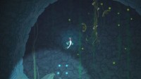 《Bahamut and the Waqwaq Tree》今年5月8日登陆
