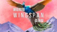 好评电子桌游新扩展《展翅翱翔：亚洲篇》定档6月16