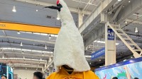 大佬核聚变现场COS鹤仙人售卖金丹：四妹也在场!