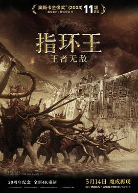 指环王3:王者无敌 / The Lord of the Rings: The Return of t